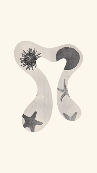 an australian brand of sustainable wetsuits for women